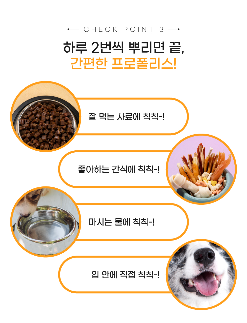 고양이뿌리는치약 뿌리는치약 구강스프레이 상세 이미지 12