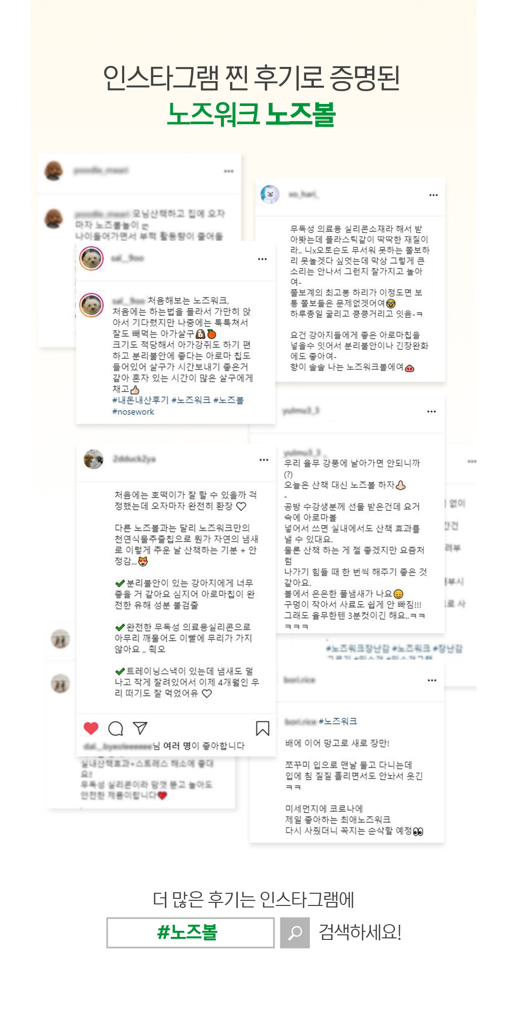 강아지장난감 고양이간식볼 반려견애착인형 상세 이미지 7