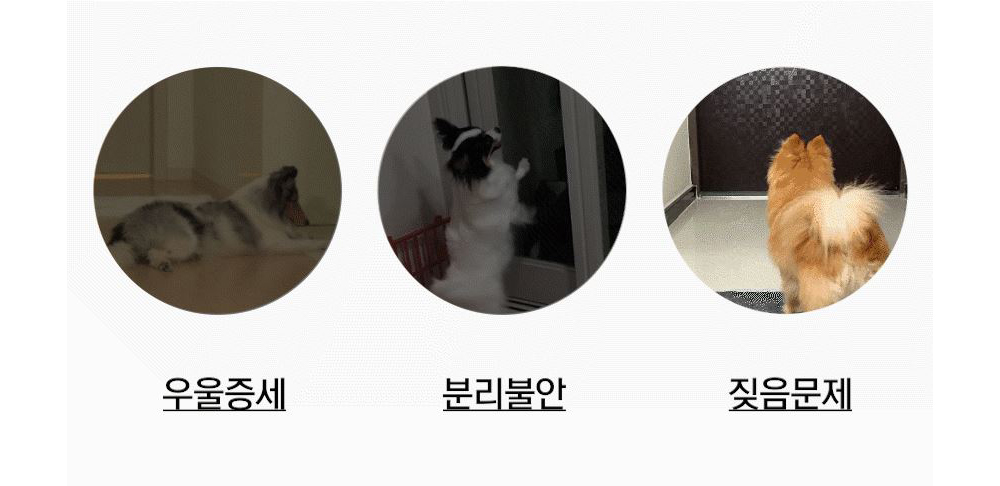 애견인형 노즈워크간식볼 애완동물장난감 상세 이미지 2