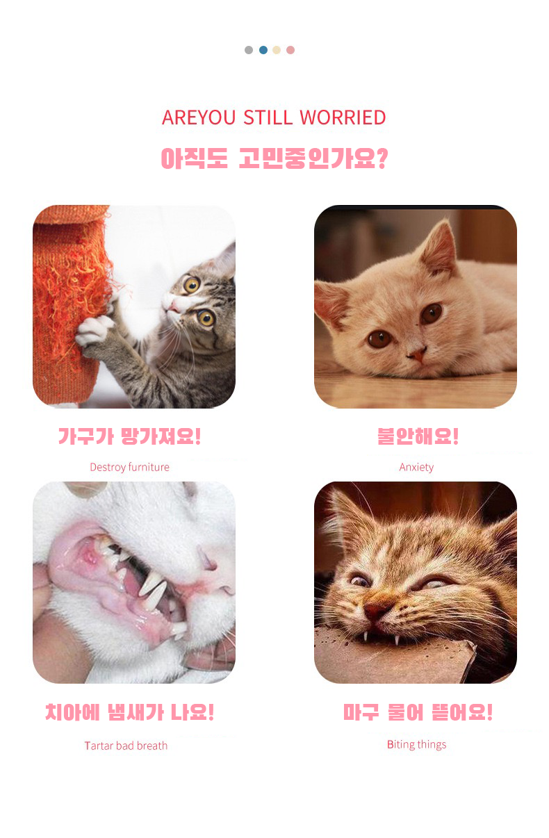 고양이장난감 애견장난감 반려견삑삑이 상세 이미지 12