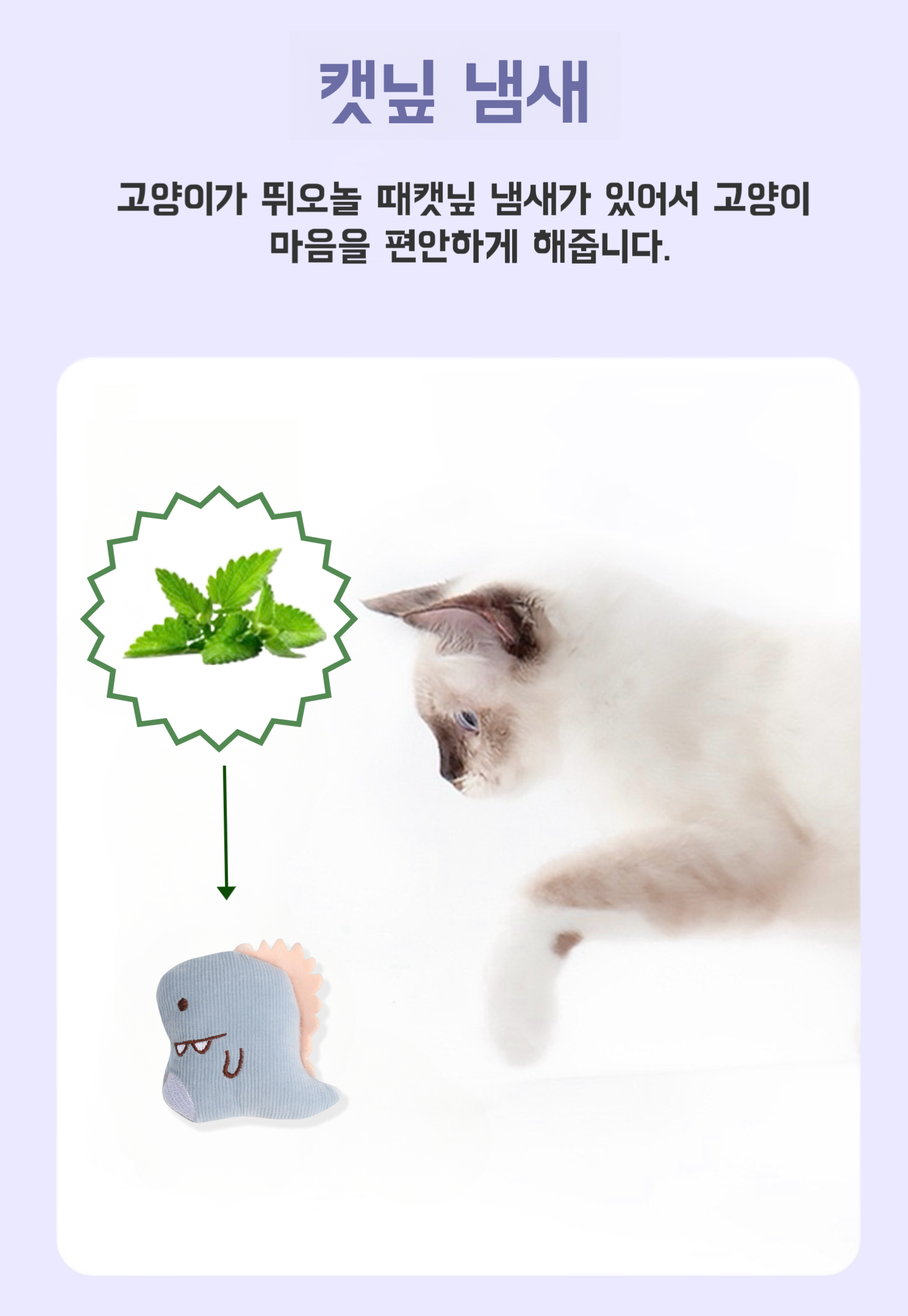 애완동물장난감 반려견삑삑이 냥이장난감 상세 이미지 4