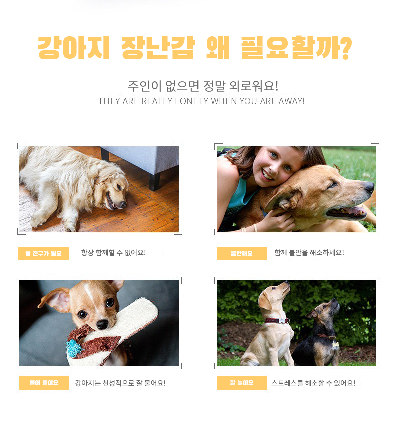 고양이장난감 애견장난감 반려견삑삑이 상세 이미지 13