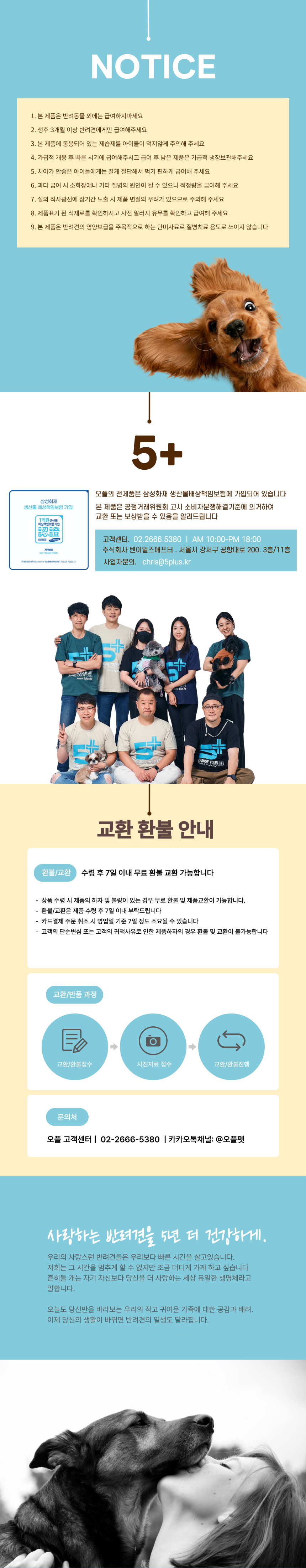 스트레스해소 펫간식 반려견간식 상세 이미지 5