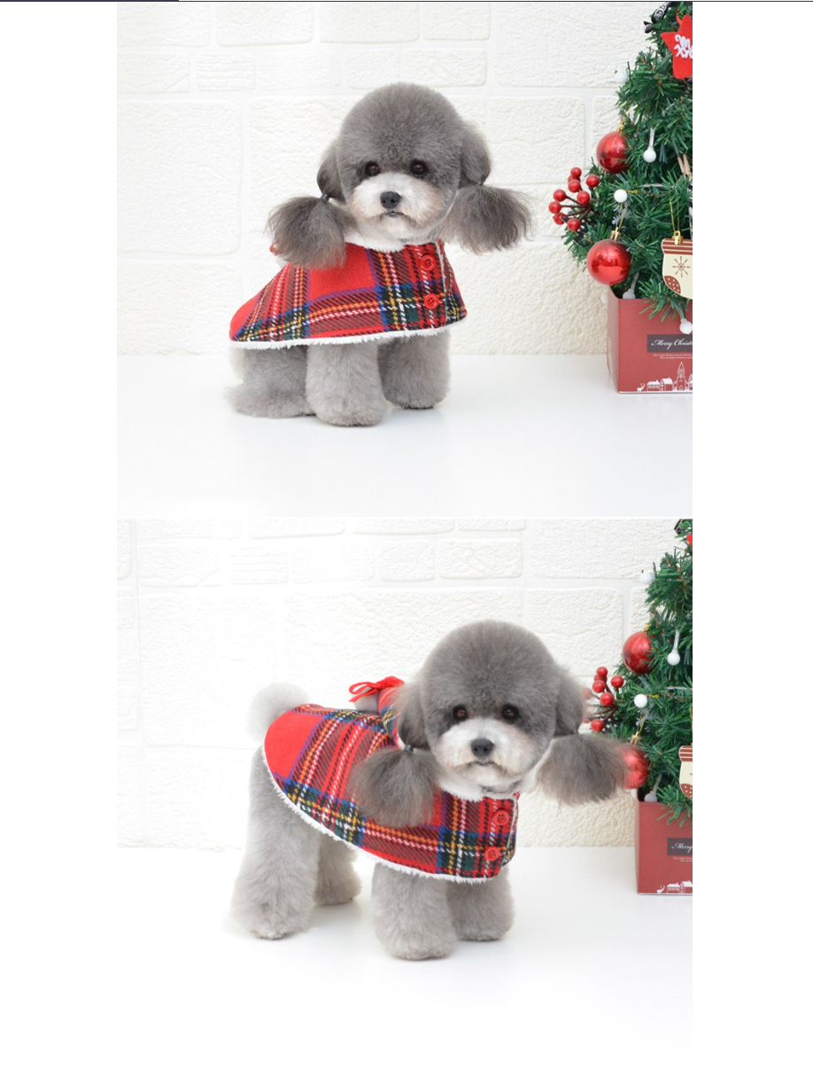 강아지외출복 강아지망토 애견옷 상세 이미지 4