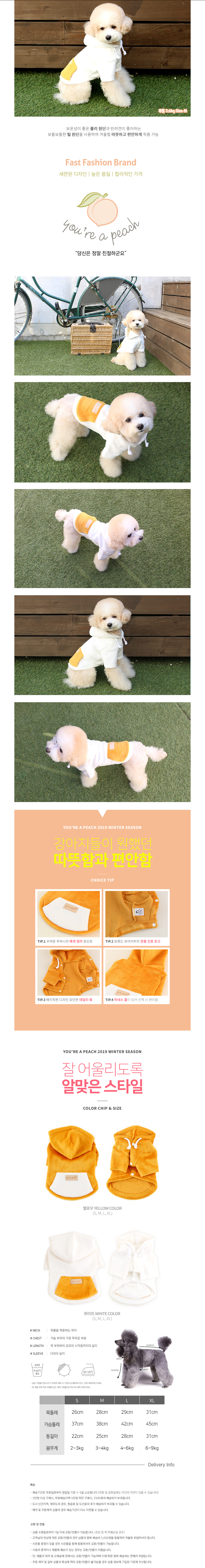 애견의류 강아지옷 강아지가을옷 상세 이미지 1