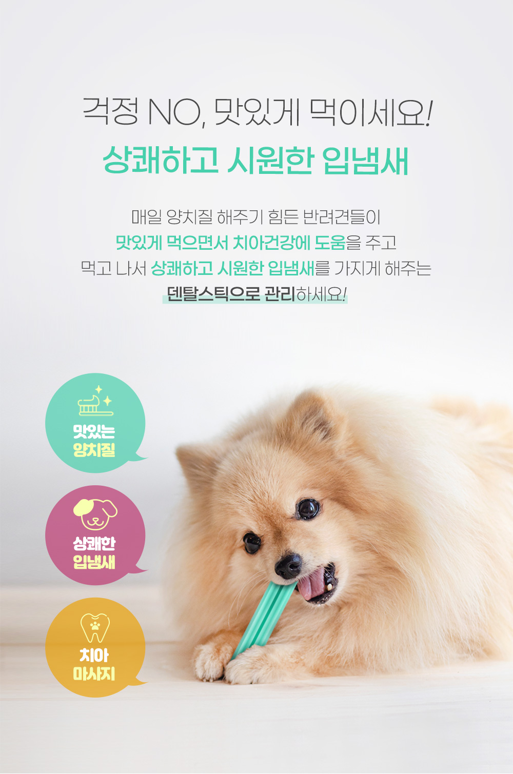 애견건강간식 반려견영양간식 강아지간식 상세 이미지 3