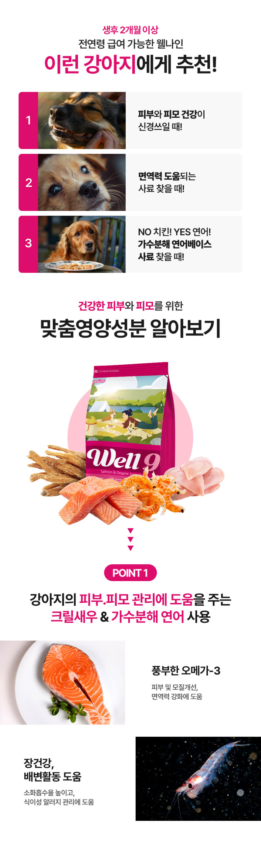 영양간식 반려동물간식 반려견간식 상세 이미지 2