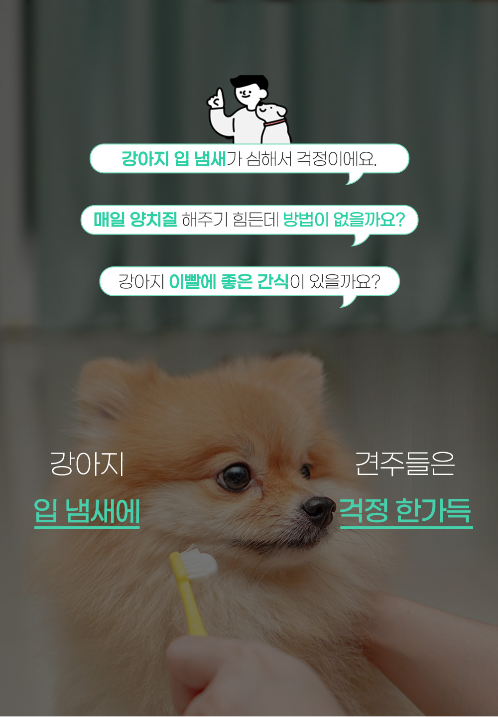 애견건강간식 반려견영양간식 강아지간식 상세 이미지 2