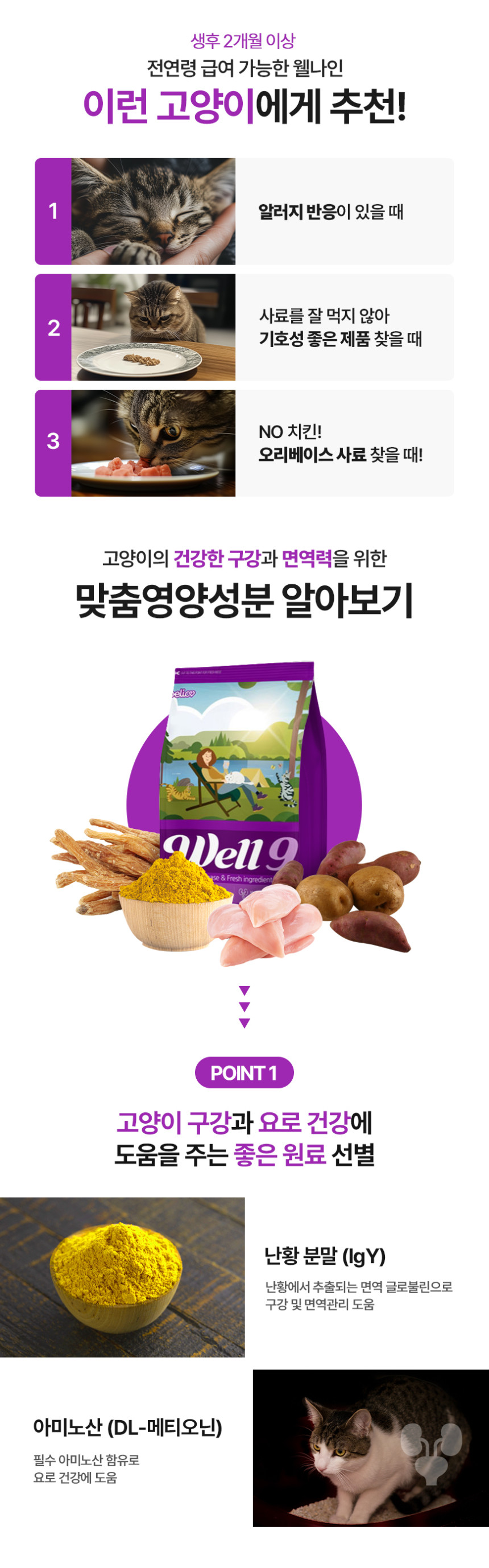강아지건강식 펫푸드 스트레스해소 상세 이미지 1